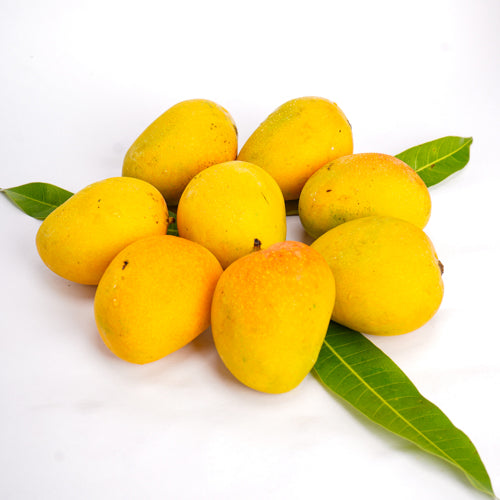 Alphonso Mango - 12 Pcs | Naturally Ripened and Carbide Free